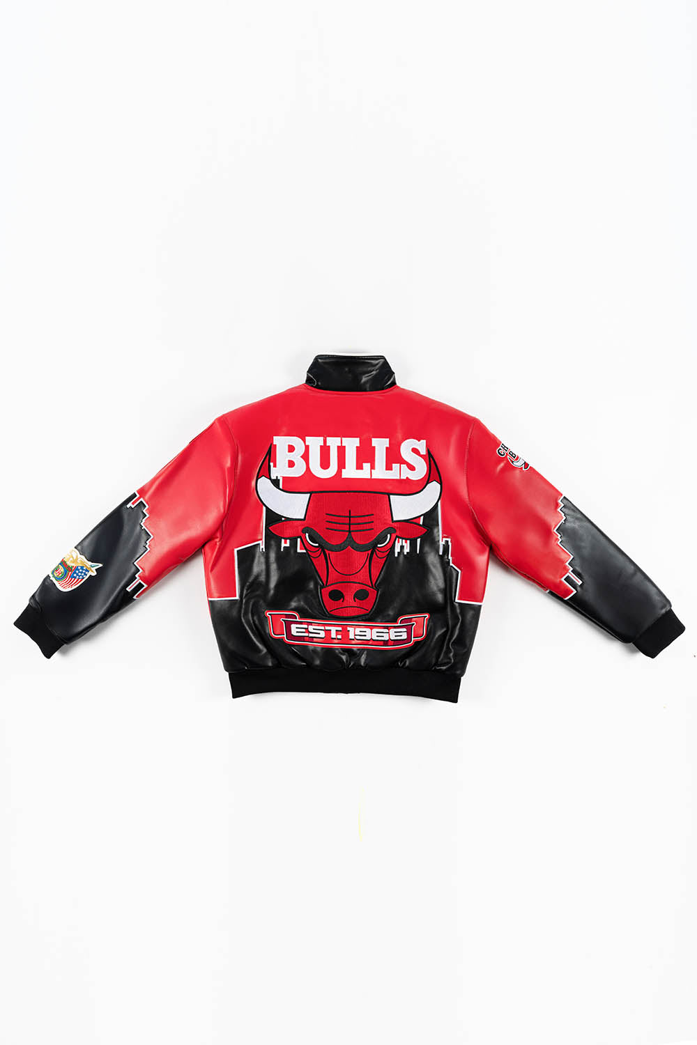 SKYLINE CHICAGO BULLS