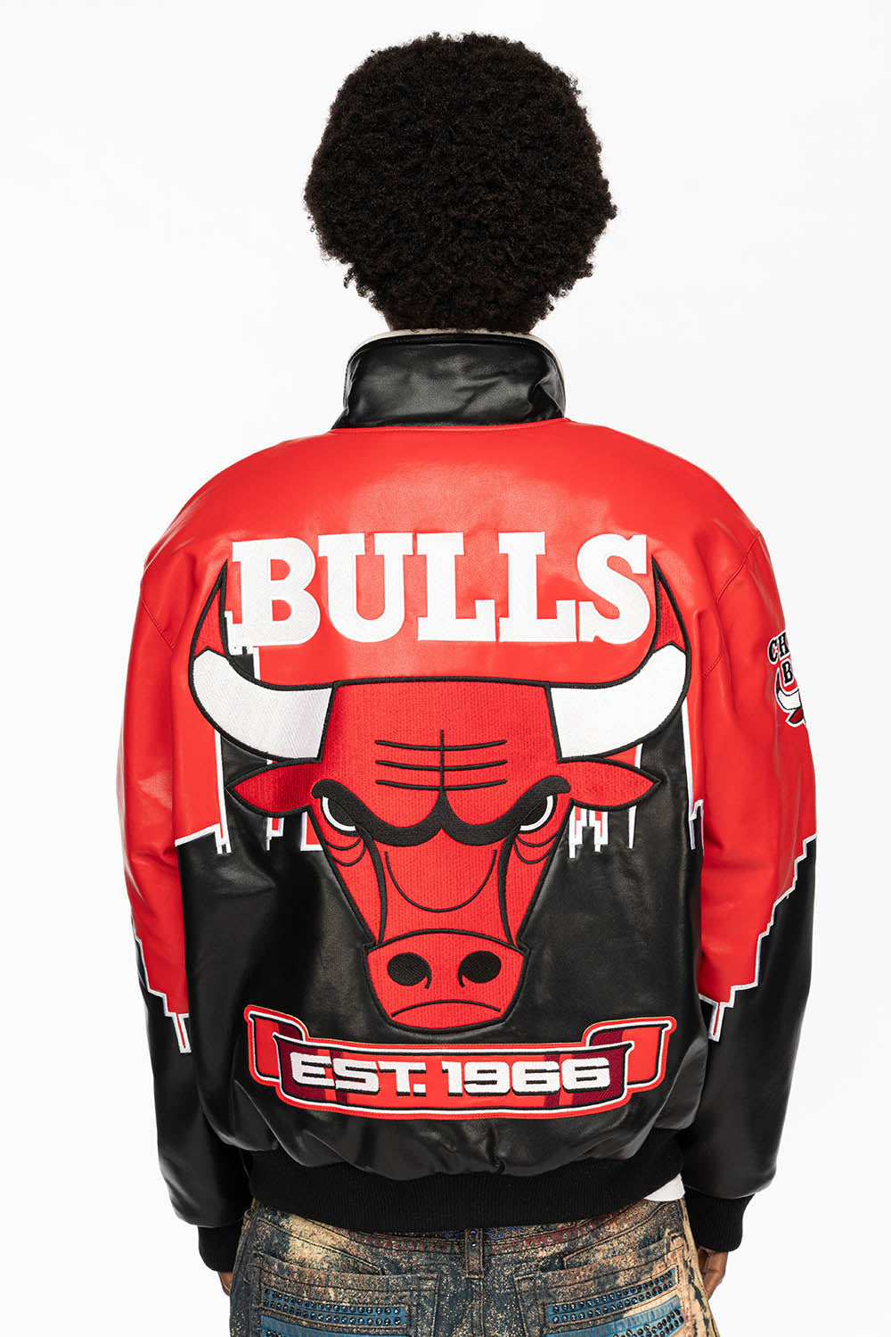 SKYLINE CHICAGO BULLS